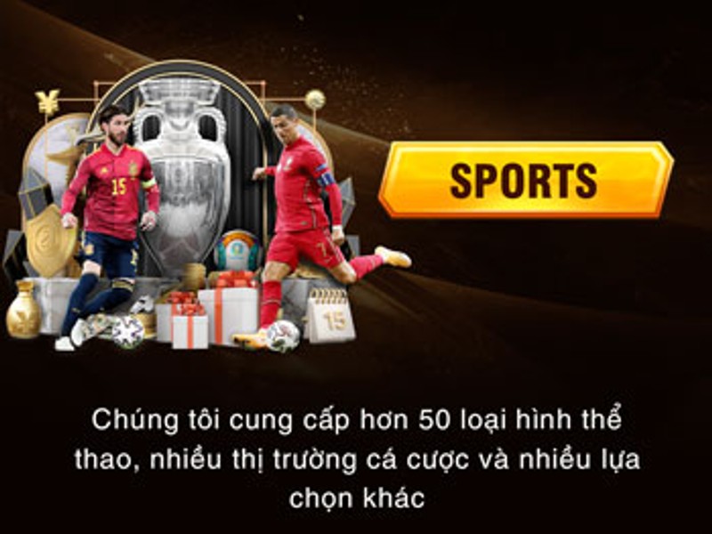 Cá cược thể thao tại win13