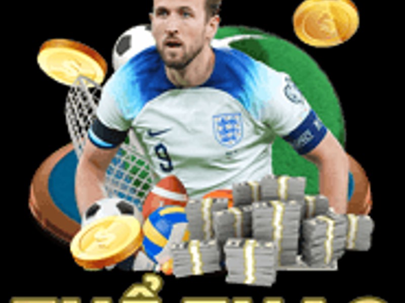 Hình ảnh minh họa cá cược thể thao Win13
